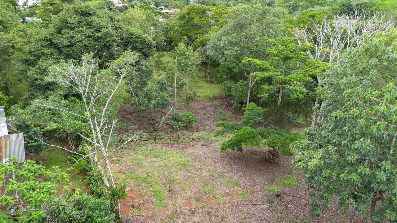 2.5 Acres of Fertile Land with Creek, Ready to Build