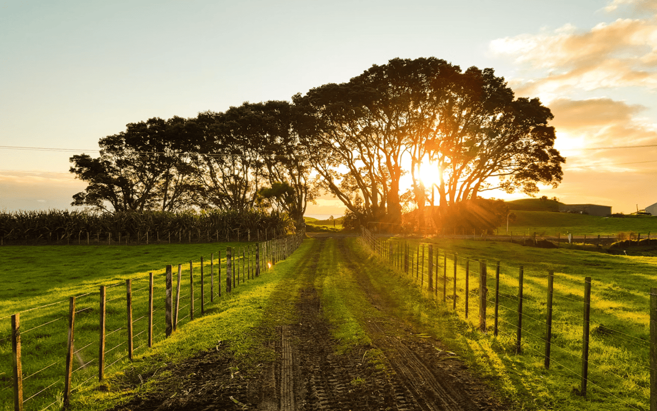 Texas Ranch Market Trends