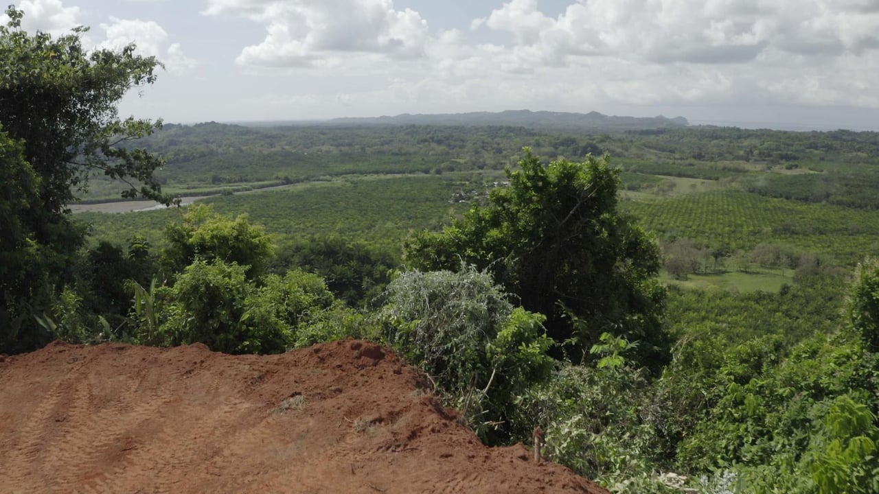Prime 286-Acre Ocean View Property for Sale Near Quepos, Costa Rica – Ideal for Development