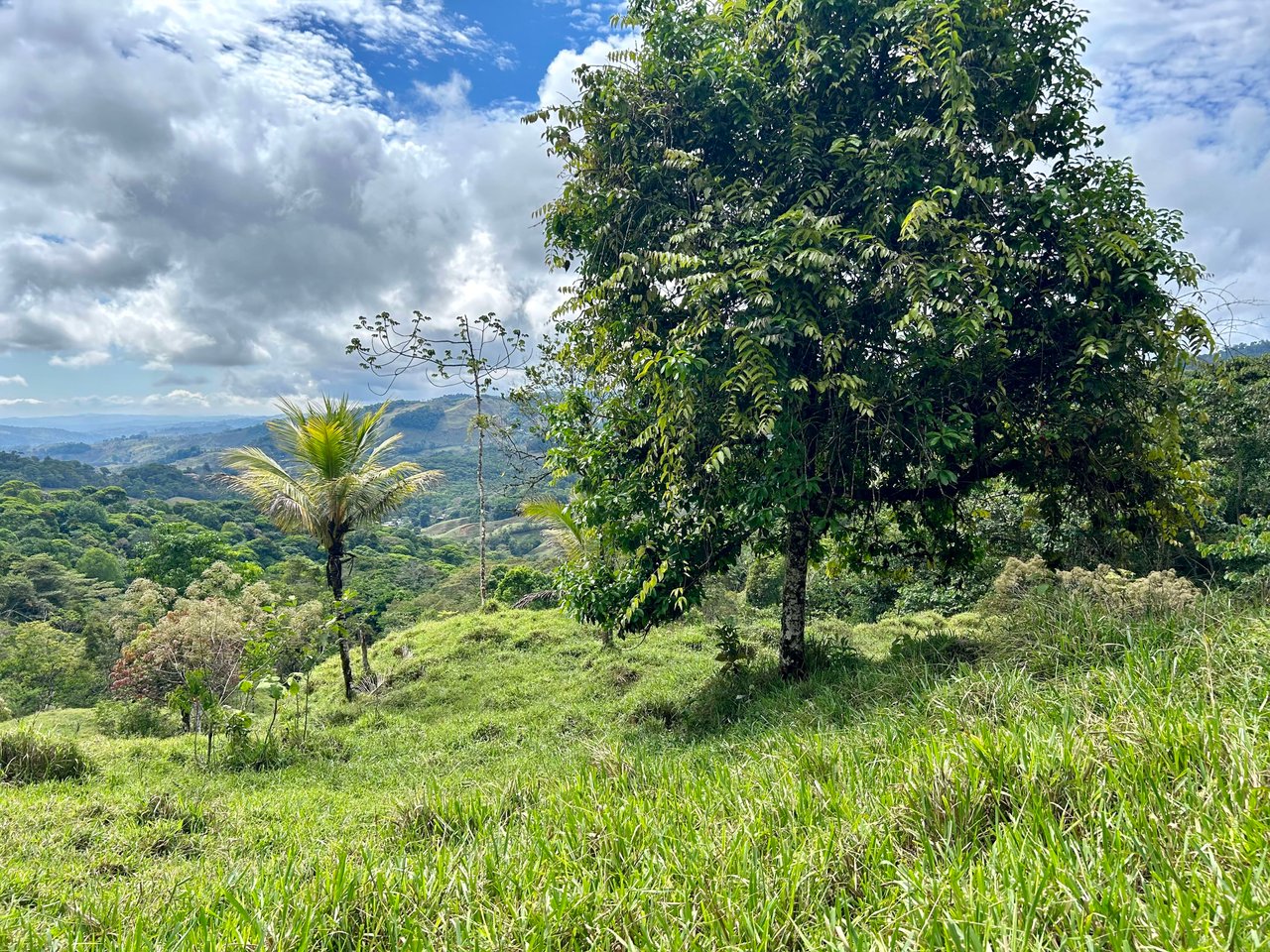 Hidden Gem: Serene Farm Retreat with Majestic Views in Costa Rica