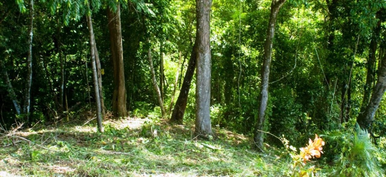 Gated Community Development Lot, Dominical, Puntarenas