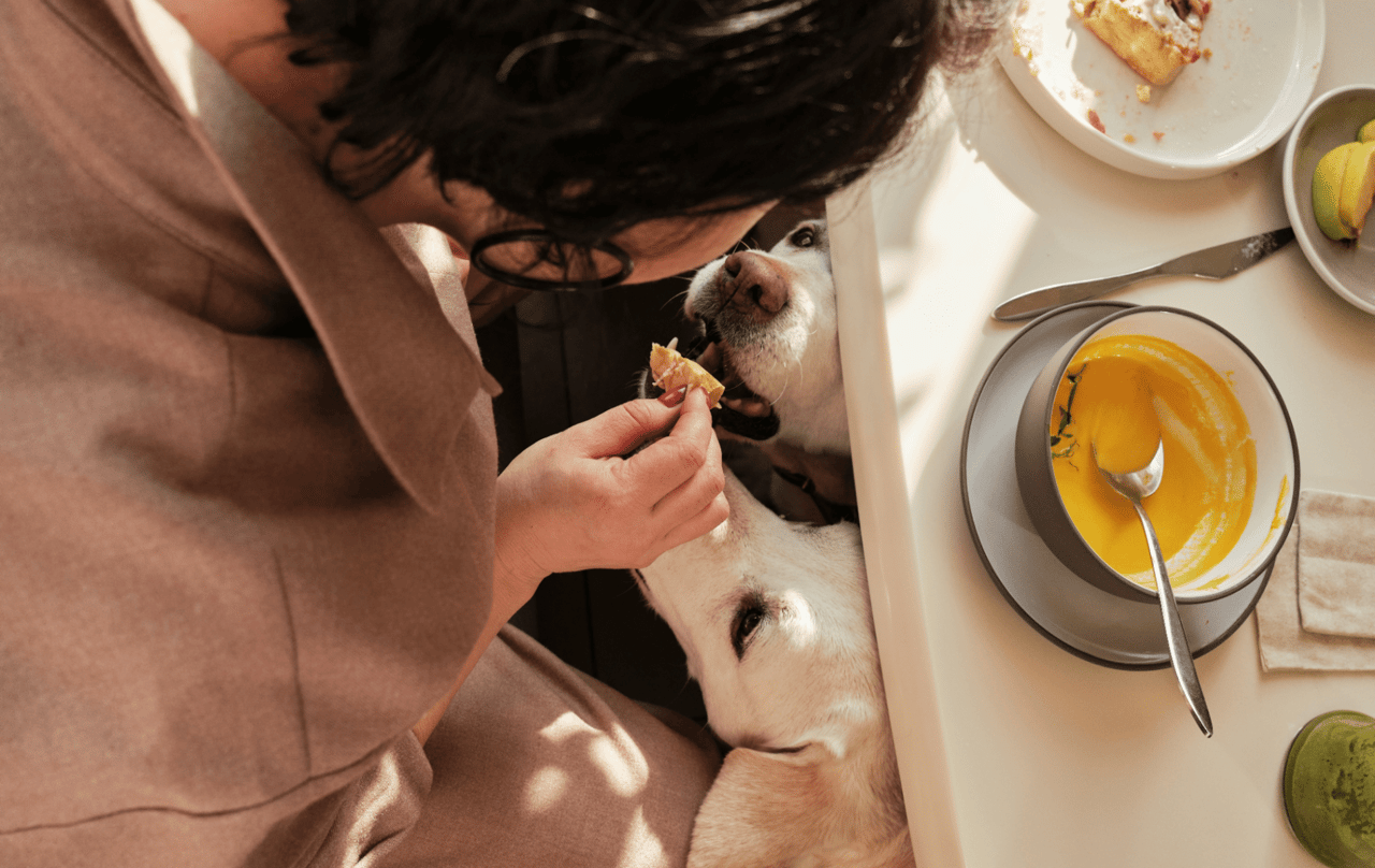Pet-Friendly Patios: Dining Out with Your Furry Friend in Austin