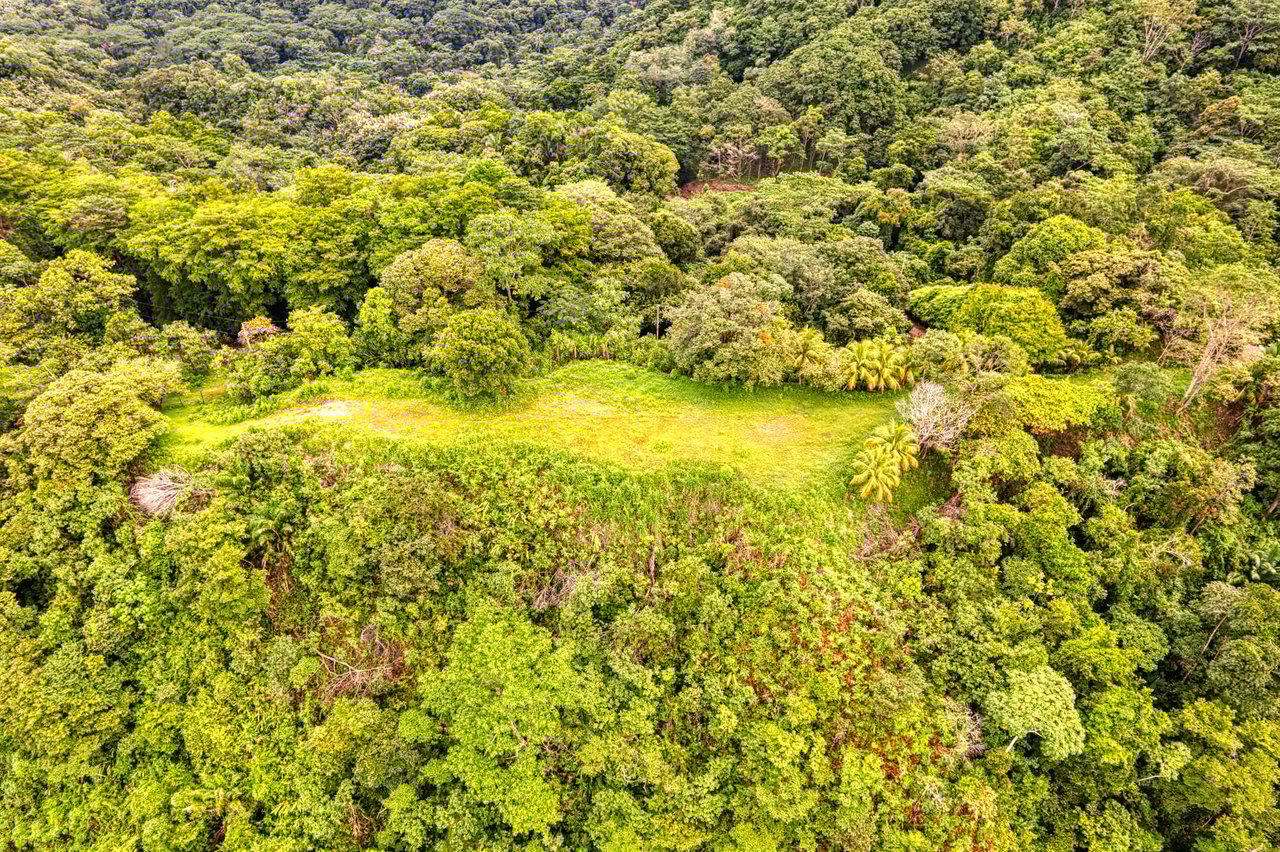 Coronado Estates Development Farm