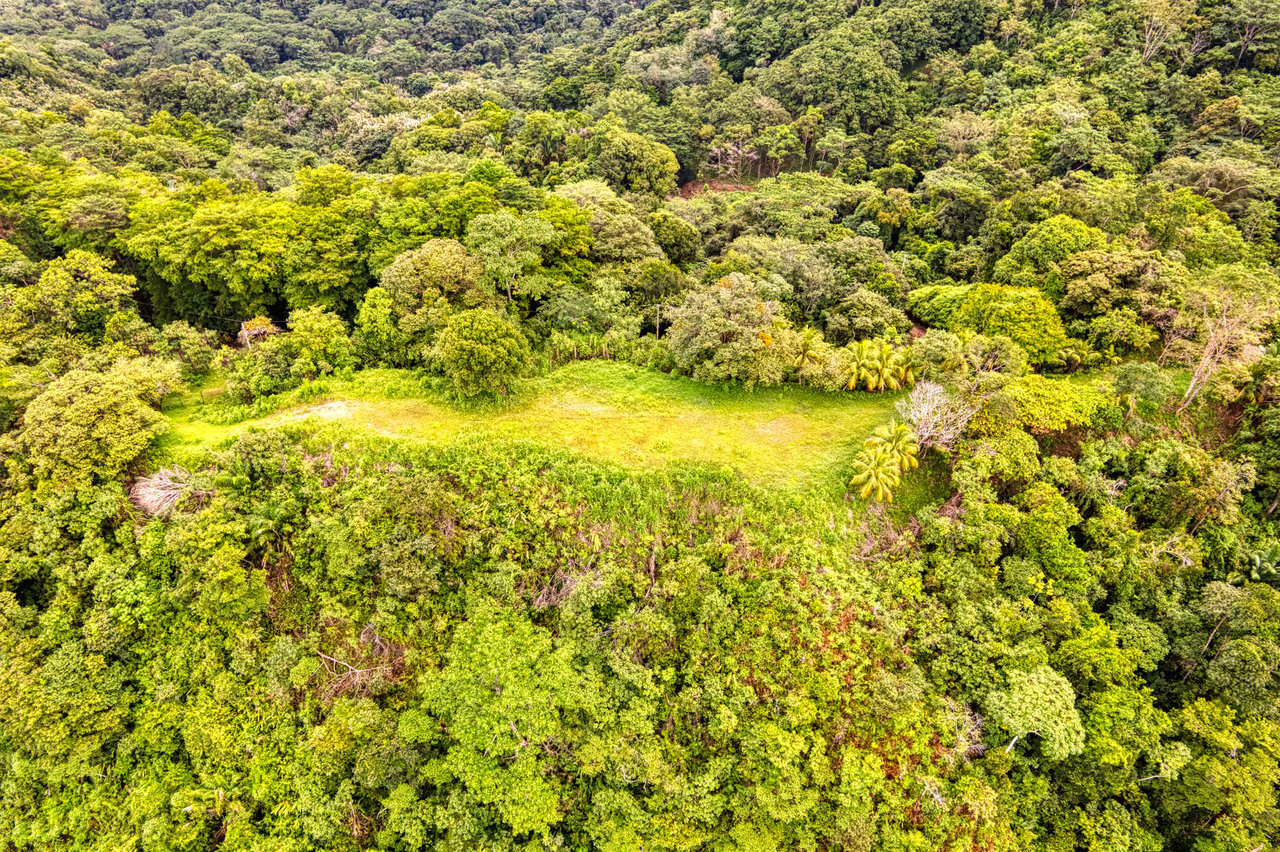 Coronado Estates Development Farm