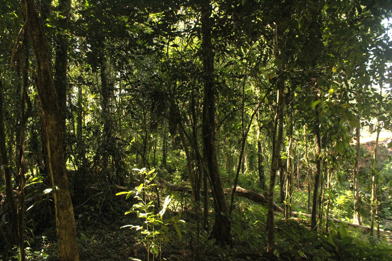 River Frontage Lot close to Uvita