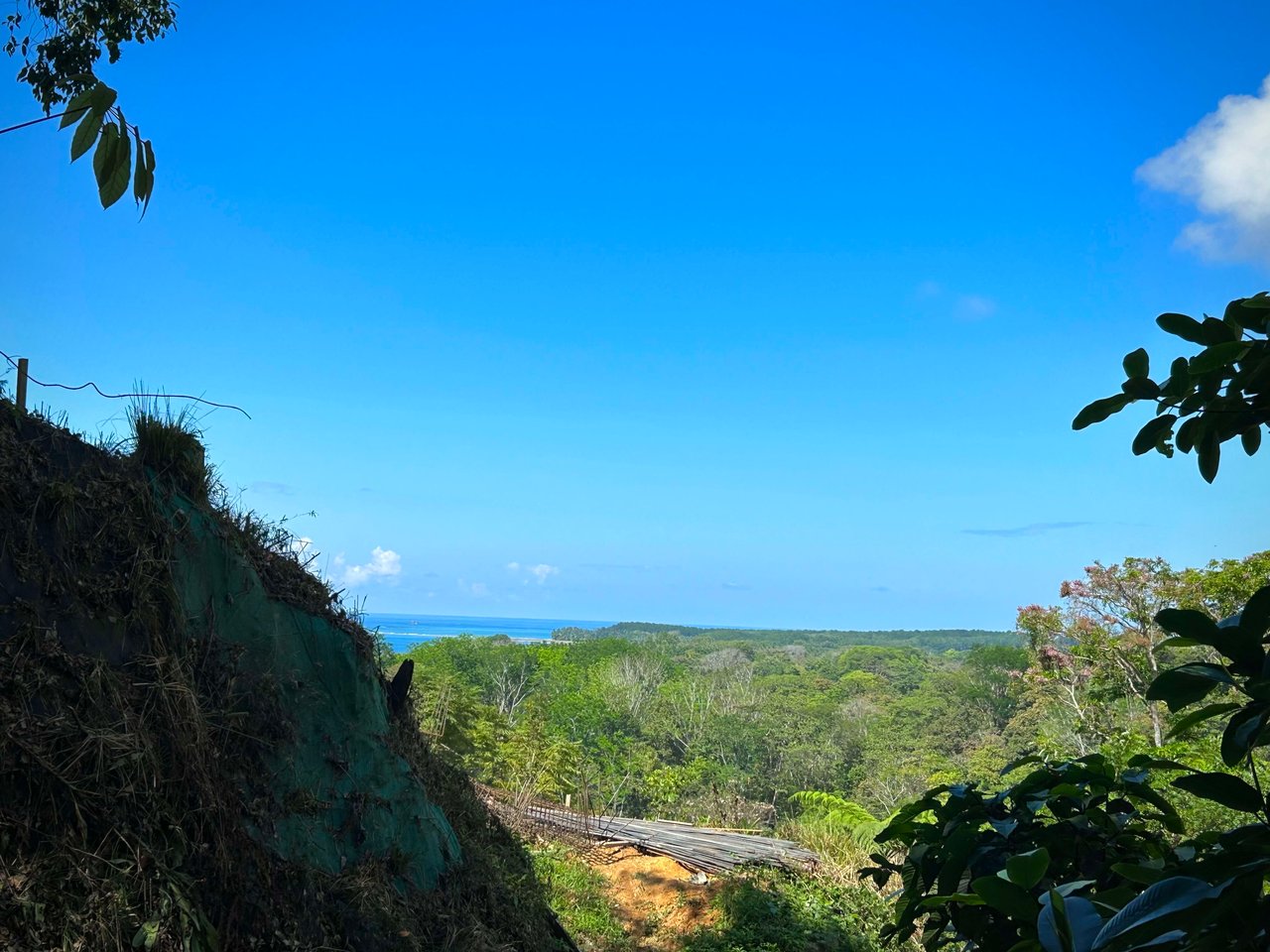 Gorgeous Property Above Playa Colonia, Forest Views