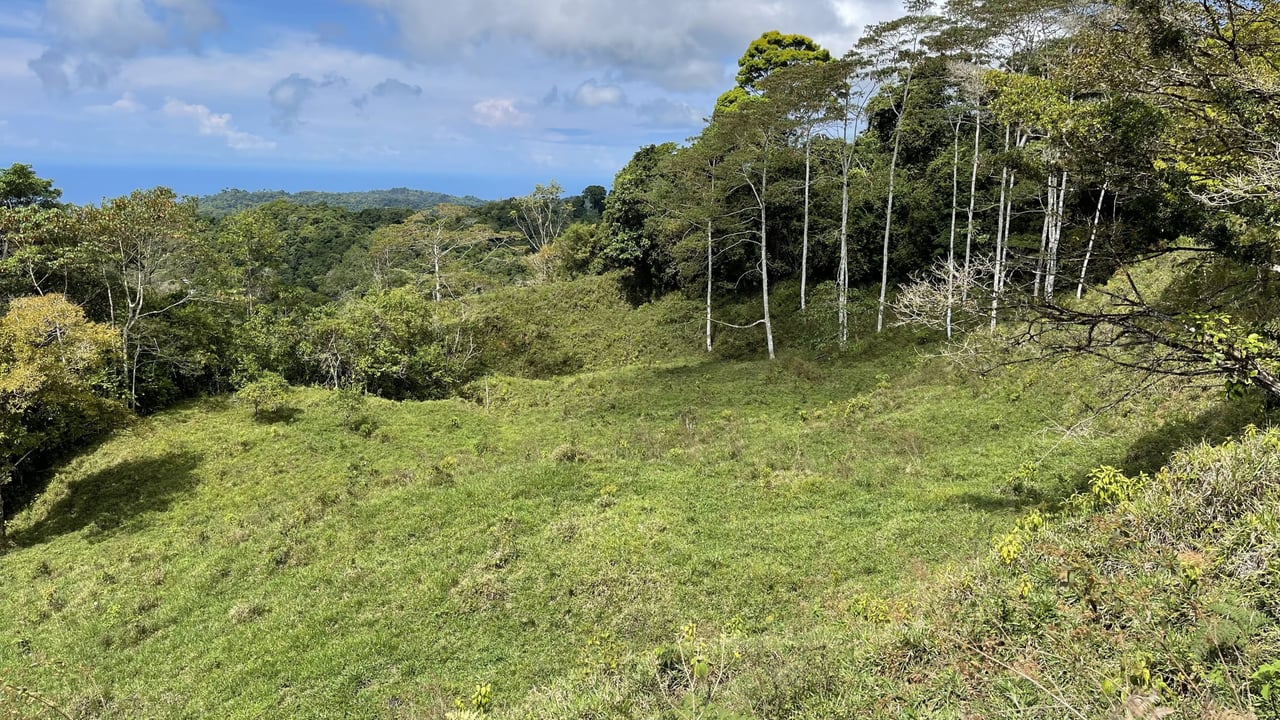 Whales Tail and Ocean View Farm, Over 39 acres