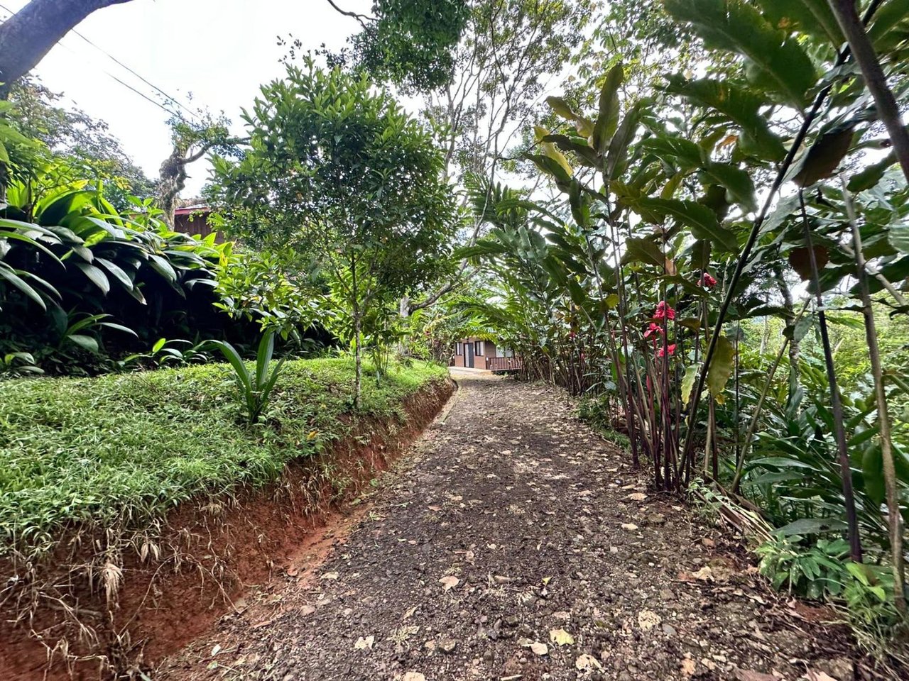Waterfall Eco Hotel Estate, Perez Zeledon, San Jose