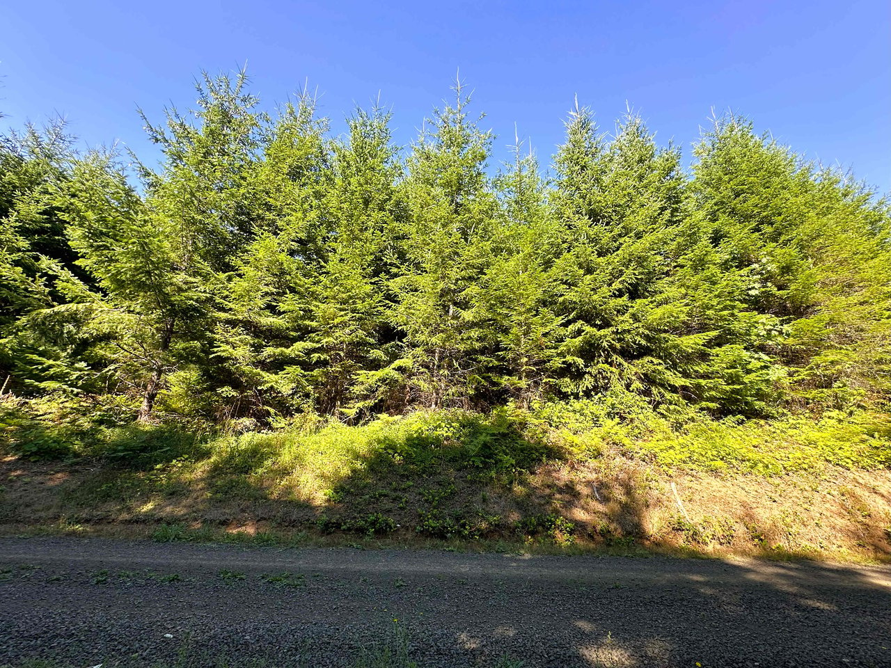 High Pass Tree Farm