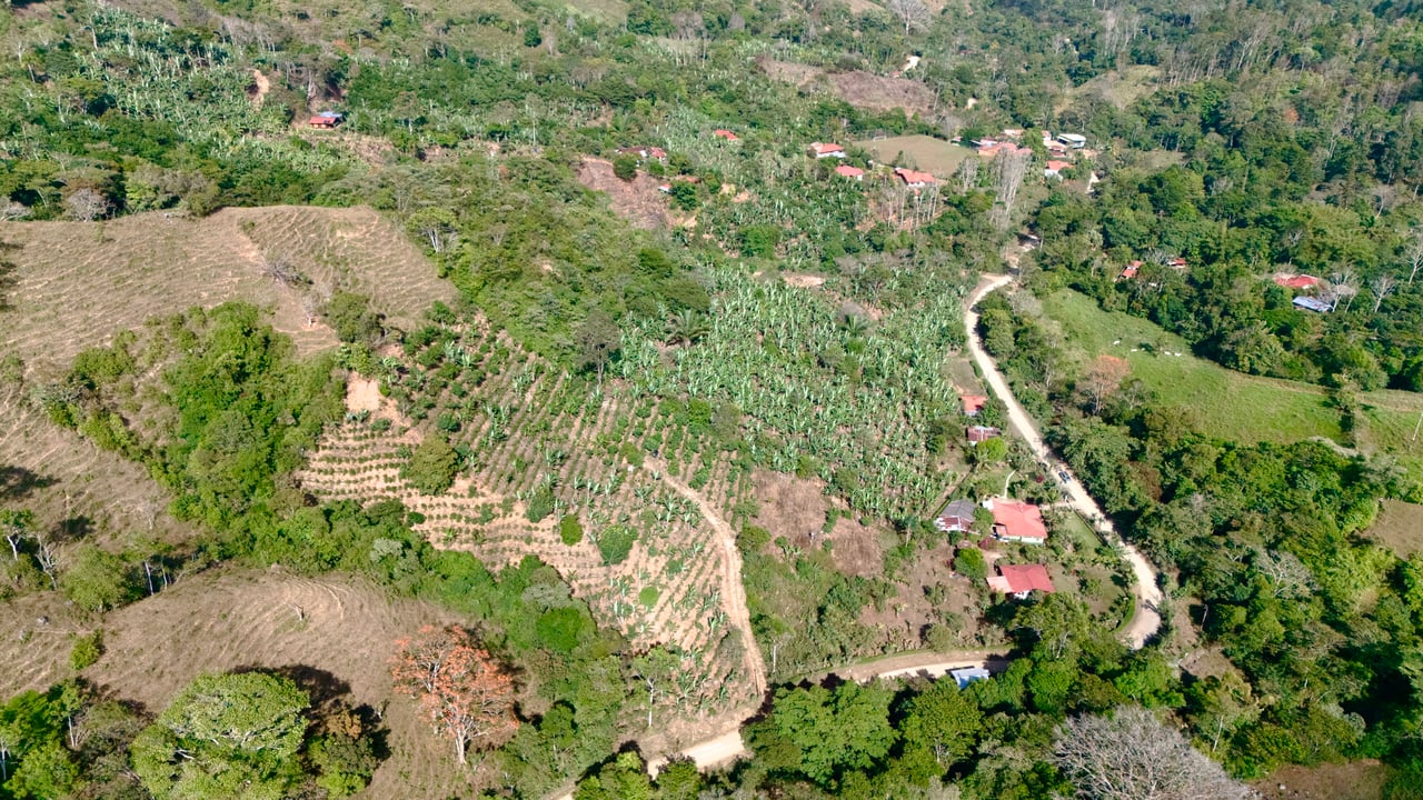 Over 2.5 Acres in Ceibo, Planted with Coffee and Fruits