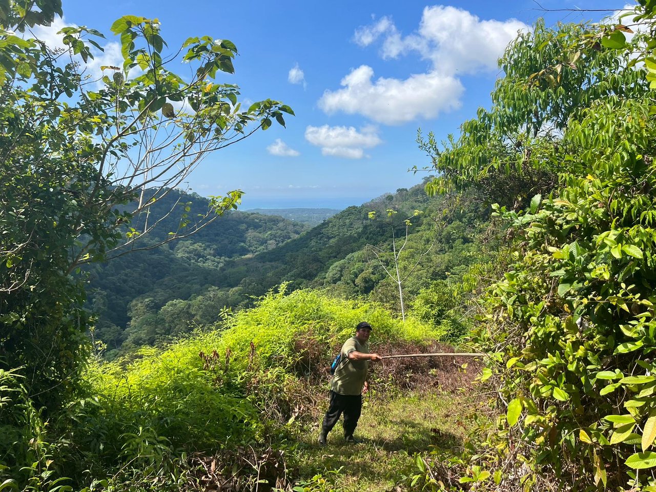 Prime Mountain Farm Land with Ocean Views and Private Waterfall in Uvita, Costa Rica