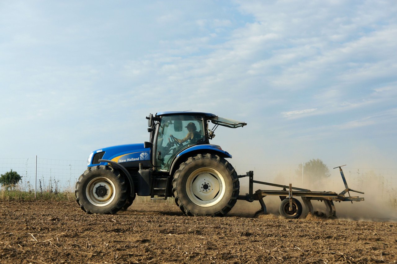 Fall Food Plots for Deer- It's time!