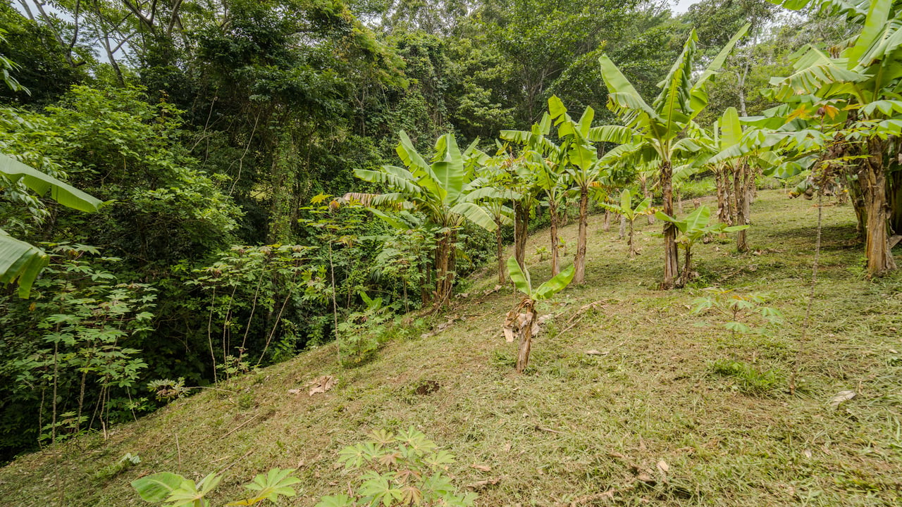 Tico House | A Tranquil Retreat in Puriscal!