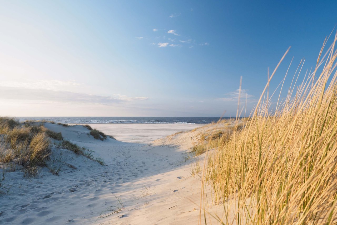 Beach Walk