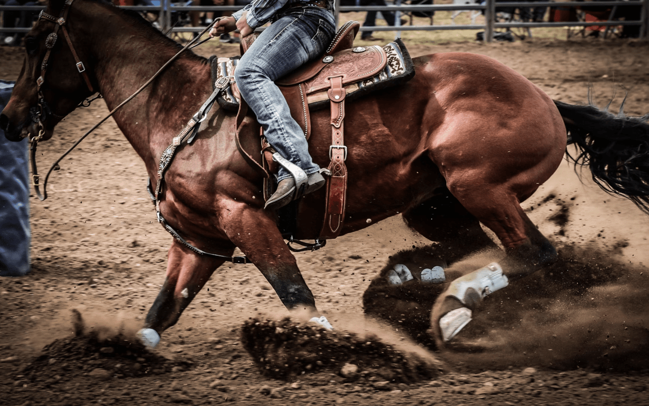 Best Rodeos around Bozeman, MT