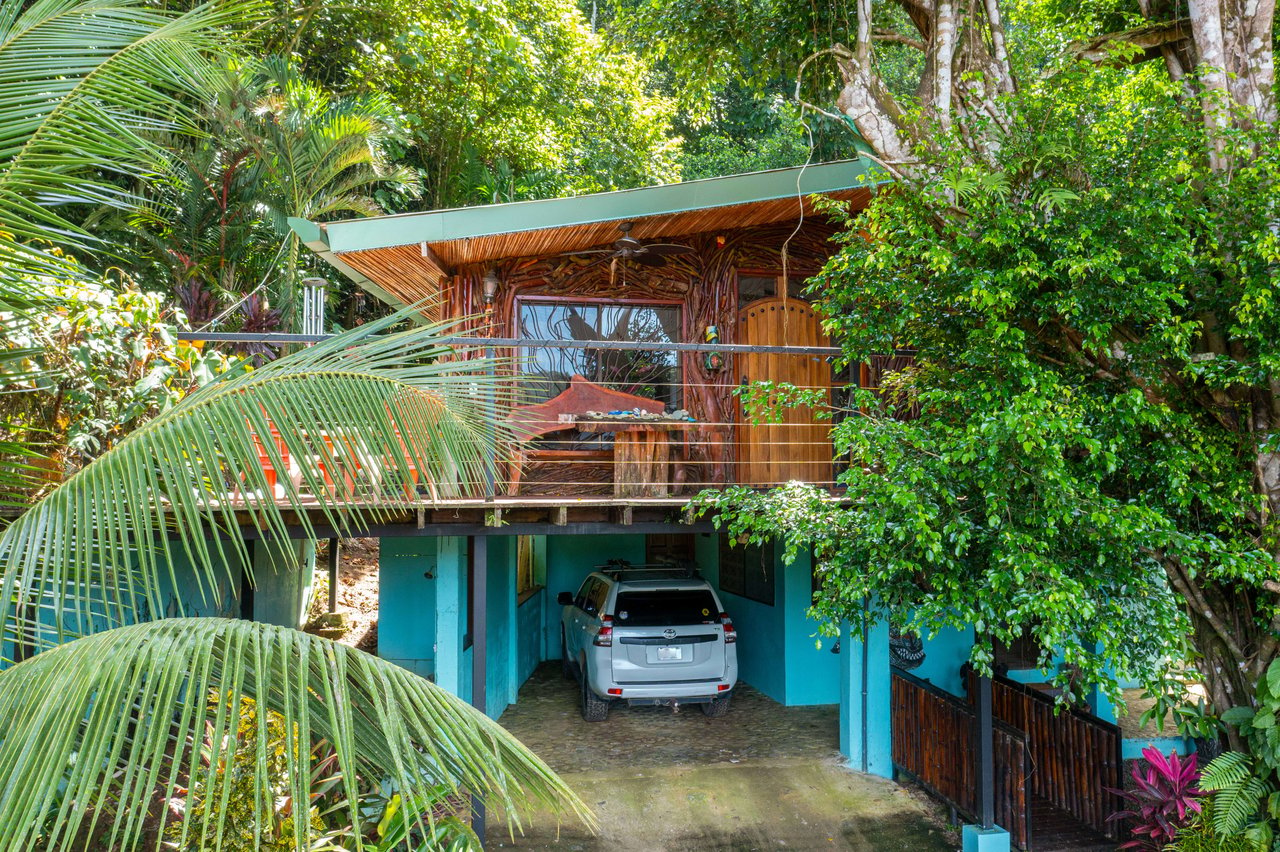 Artistic river home in the rainforest