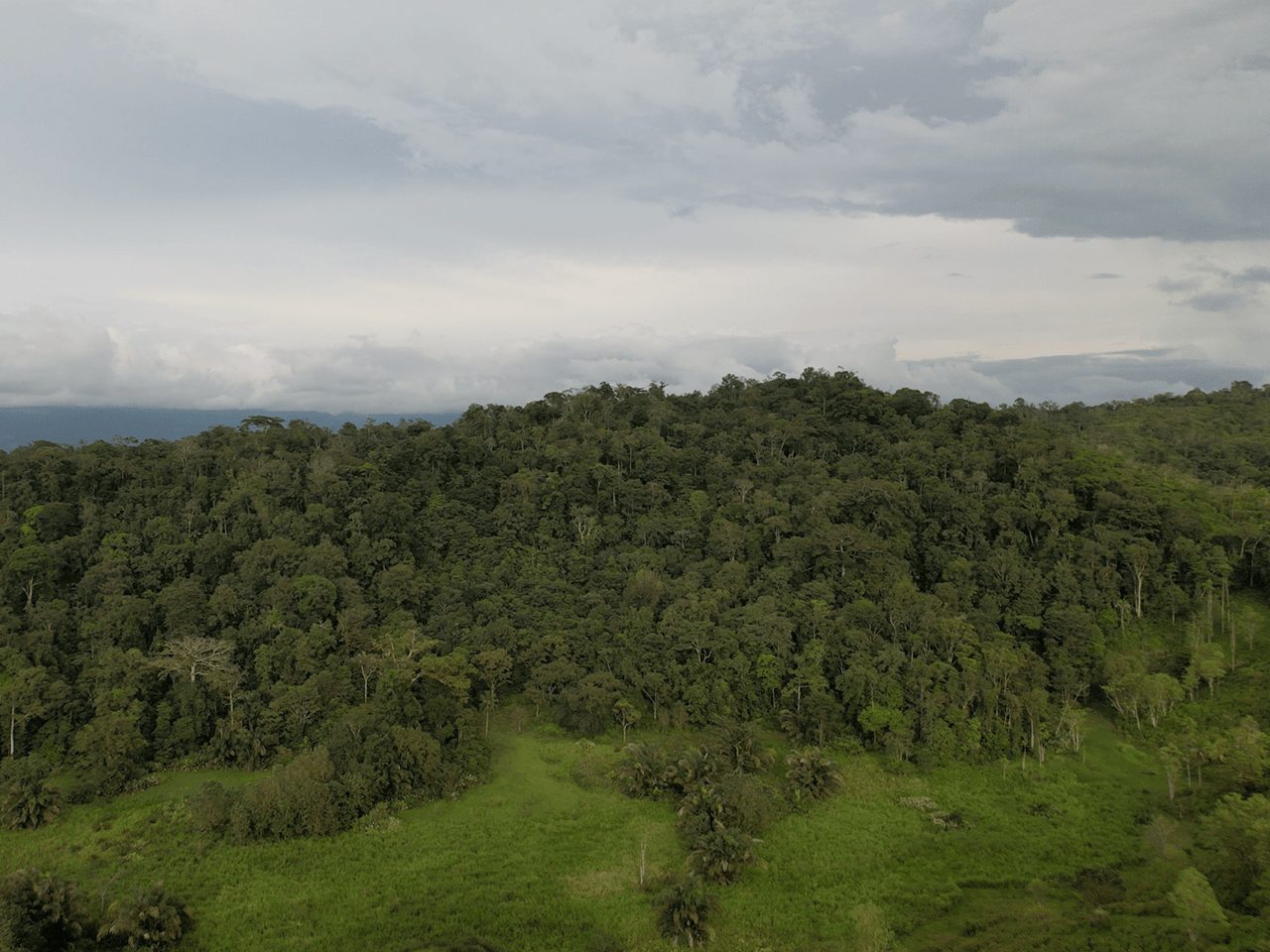 382 Acres of Sierpe River Wild Lands