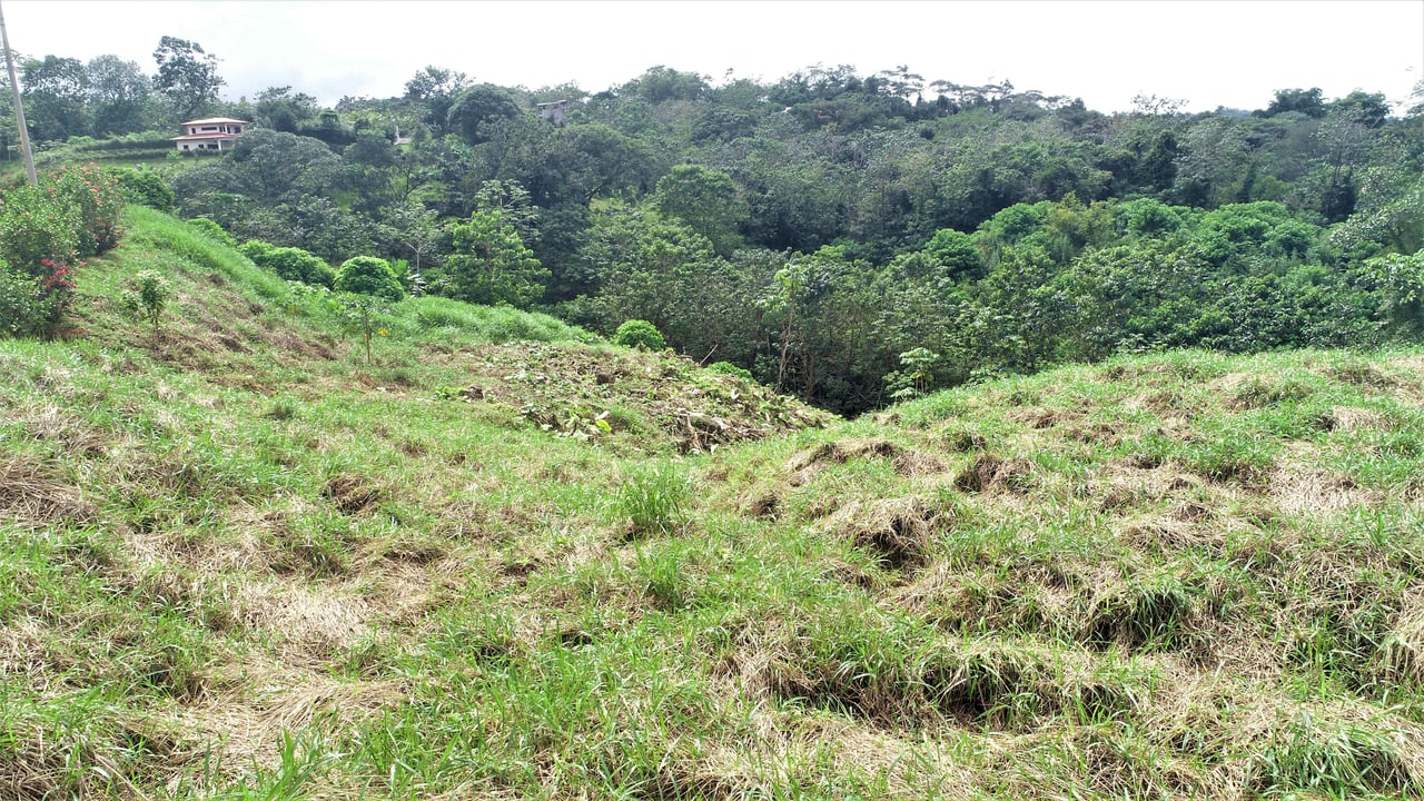 Large Mountain View Lot. 