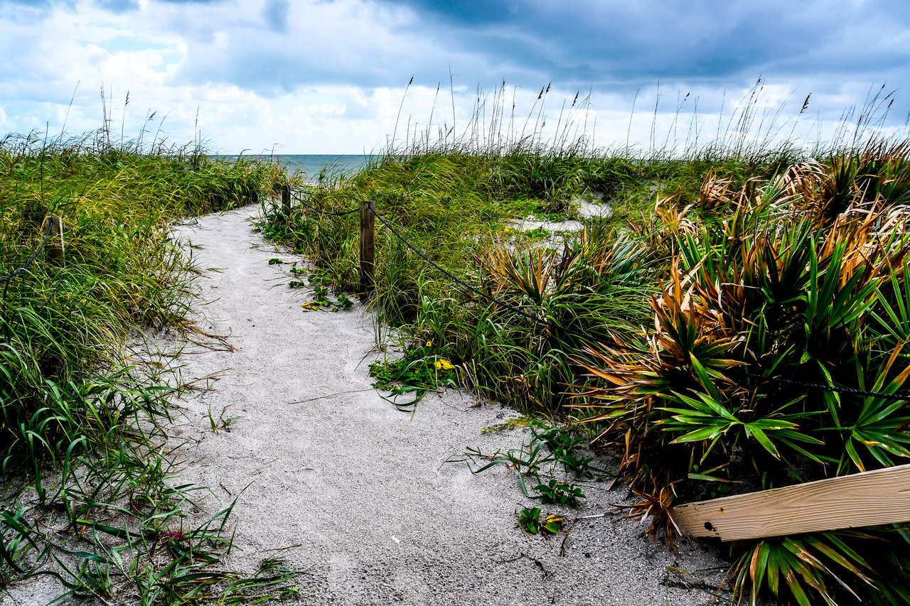 Palmetto Dunes