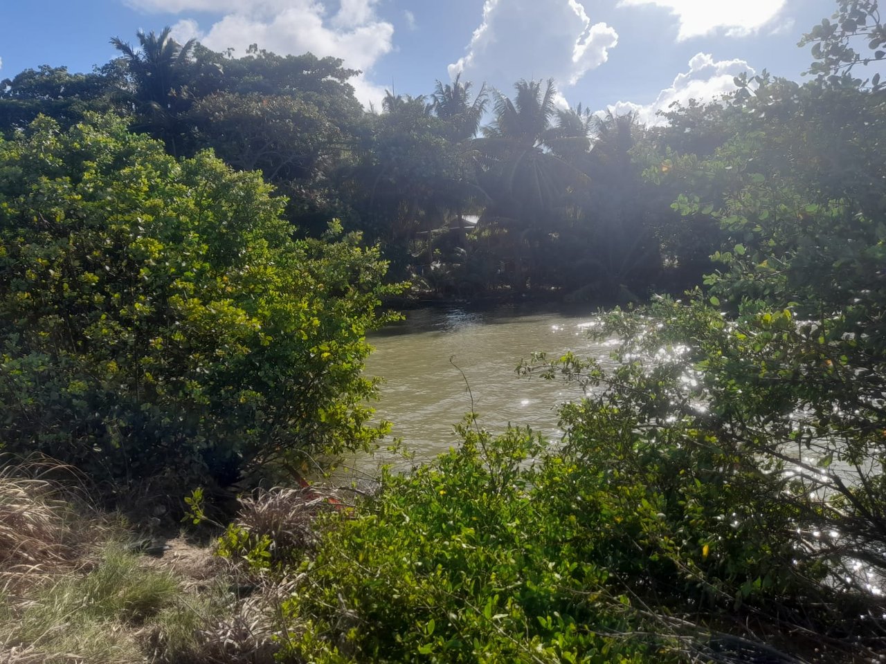 Charming 1.6 acre Caribbean Beachfront peninsular in Dangriga Town, Belize