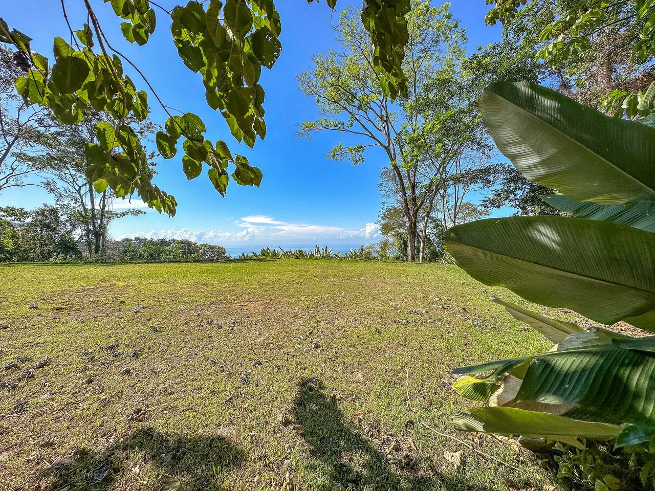 A prepared, 1.5 Acres jungle immersed lot with spectacular views of the Whale’s Tail. 