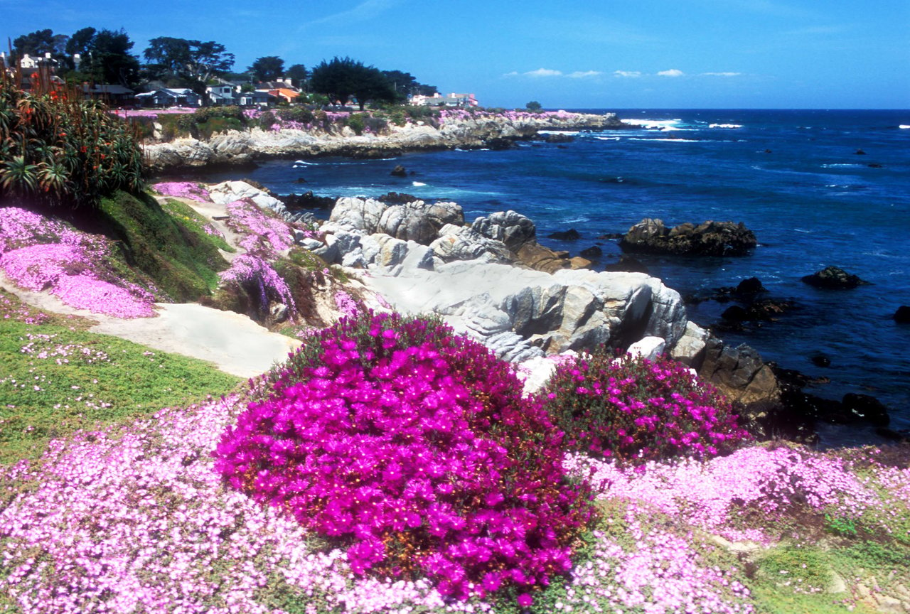 Pacific Grove