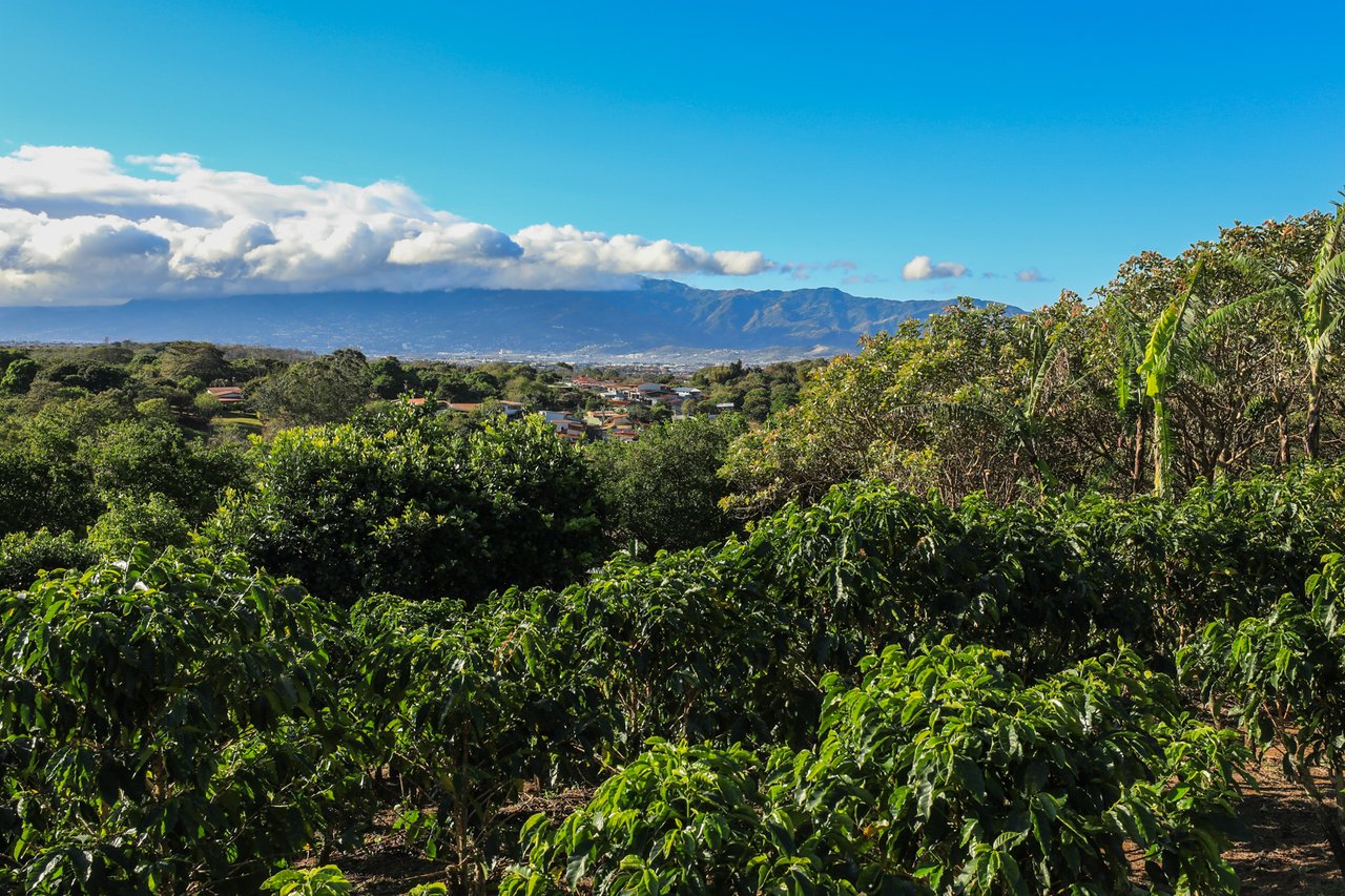 Historic Coffee Farm Estate, Heredia