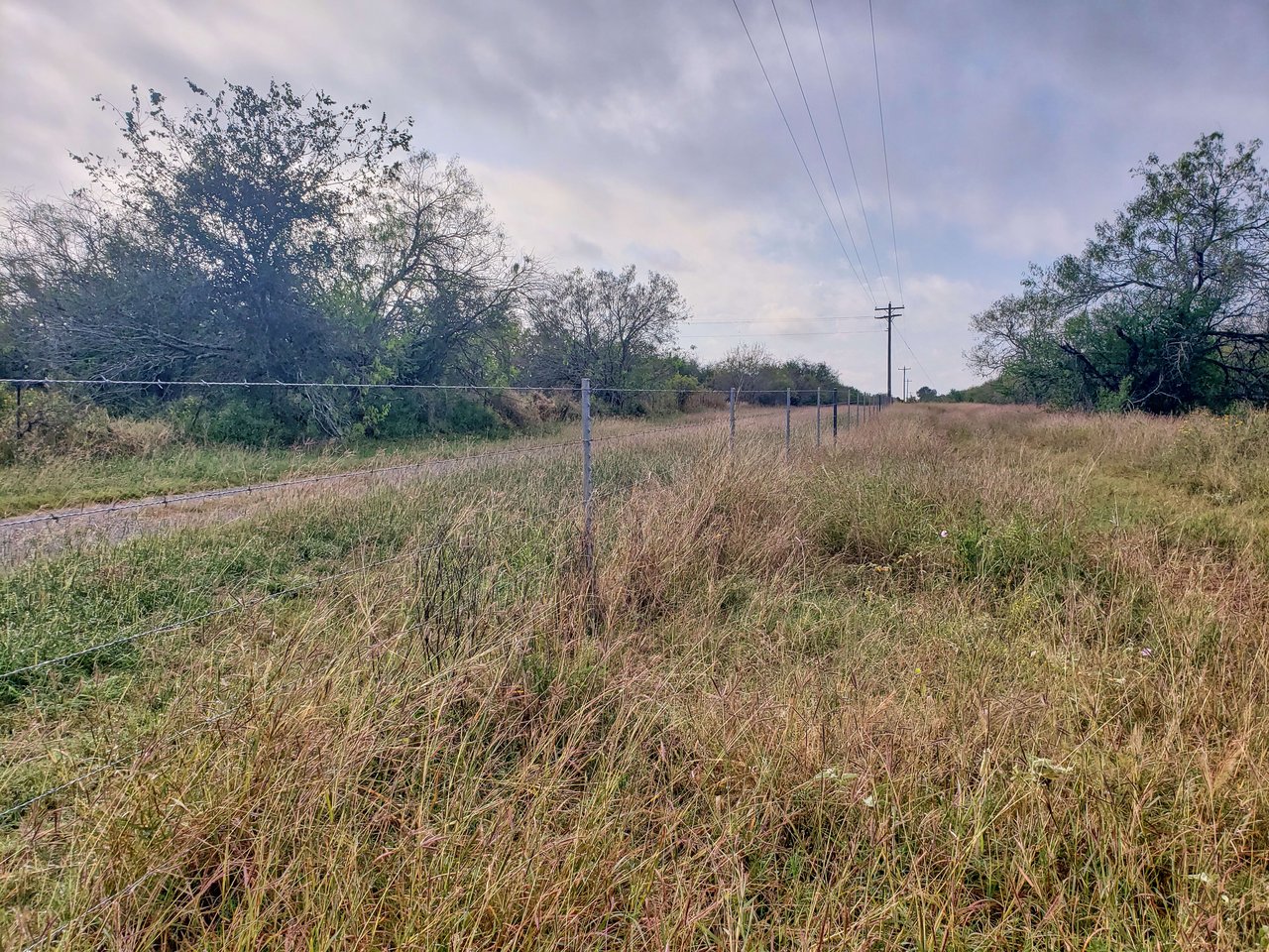 Goliad Tract 2