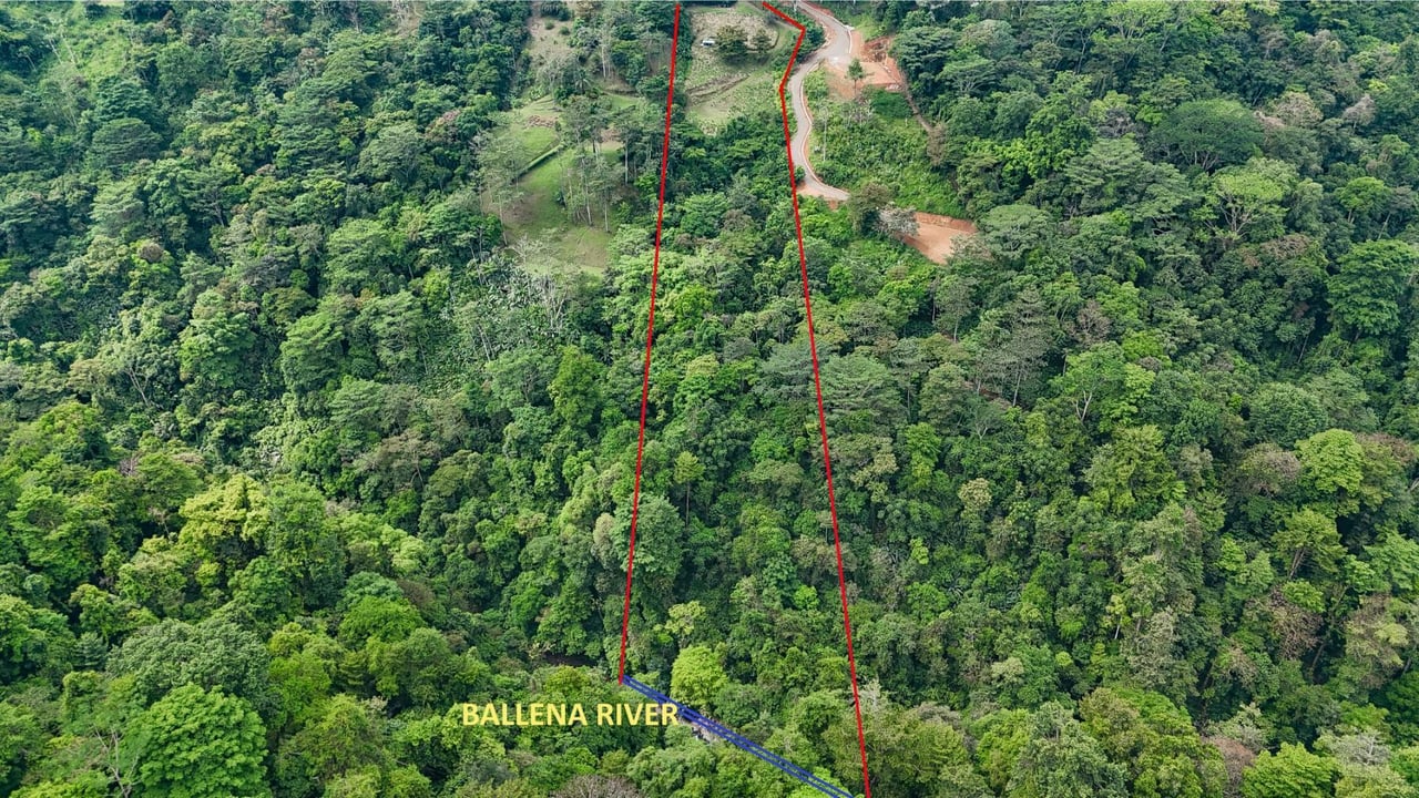 Waterfall Rainforest River Estate, Uvita, Puntarenas