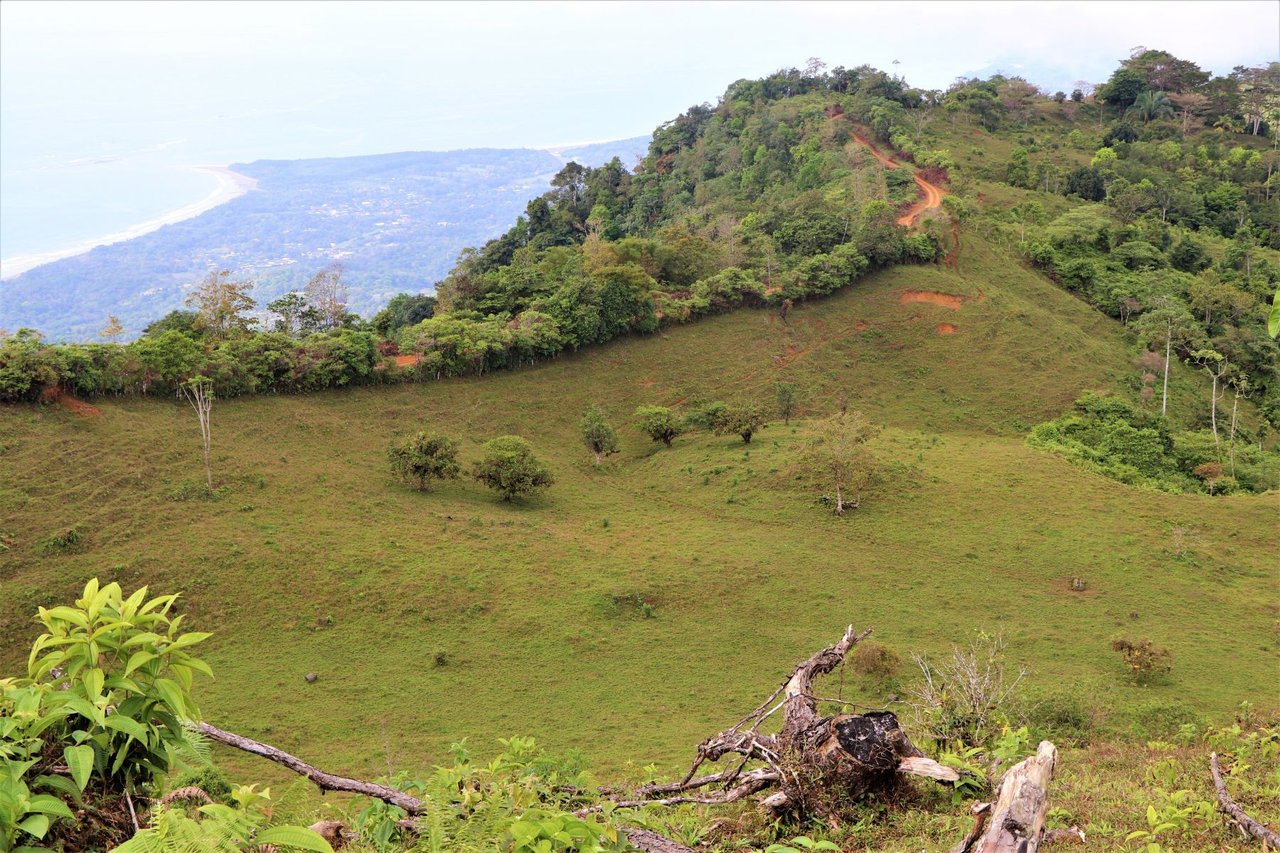 Ocean View Development Farms, Uvita, Puntarenas