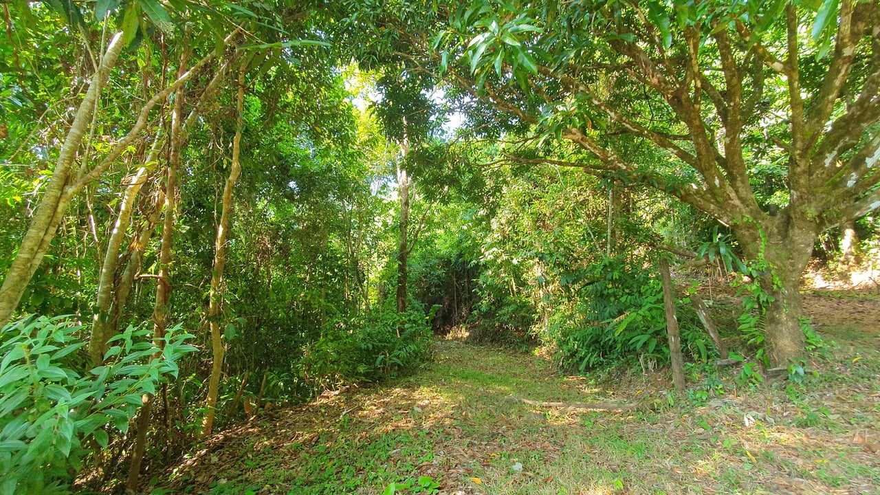 Conservation and Development Land for Sale