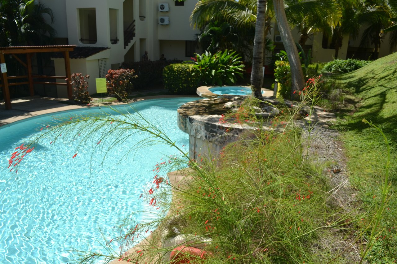 Rooftop Terrace Ocean View Condo, Papagayo, Guanacaste