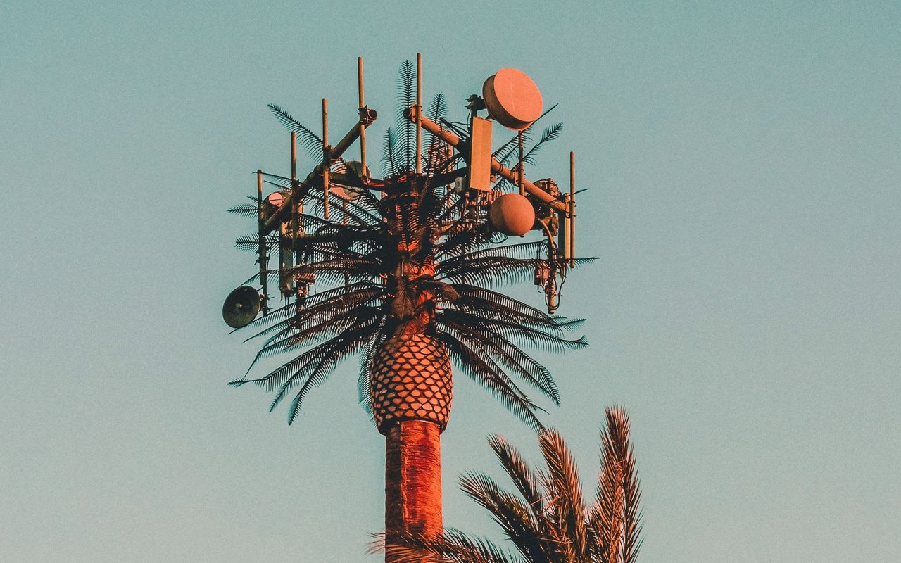 Is 5G Coming to Your Neighborhood? The myth about planted trees and 5G towers