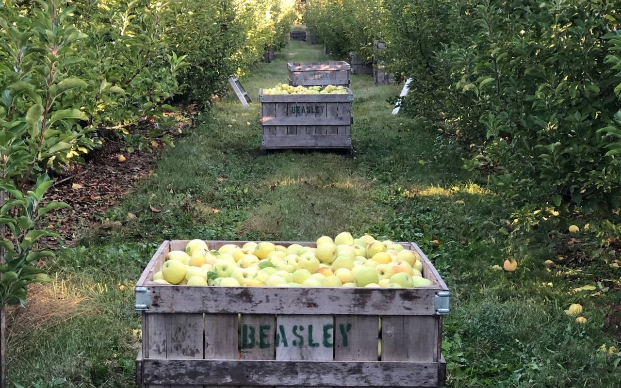 Cool Things to See and Do in Hendricks County, Indiana