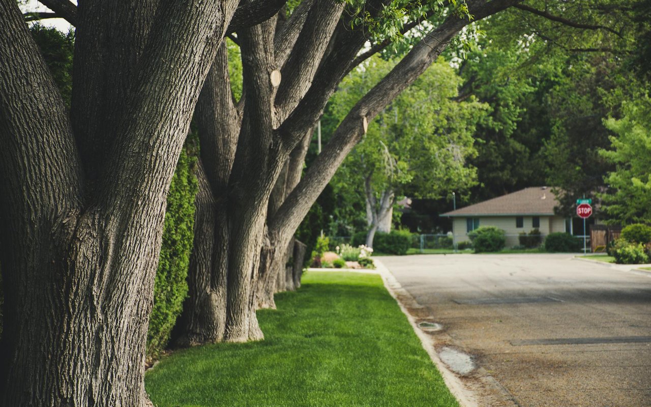 Buying A Home in Chastain Park