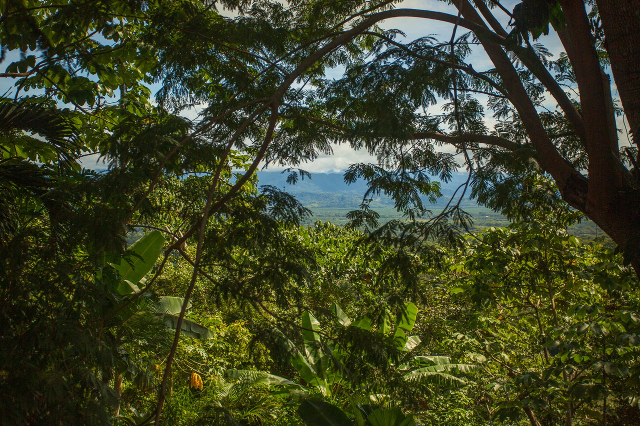 Solar Powered Hilltop Estate, Manuel Antonio, Puntarenas