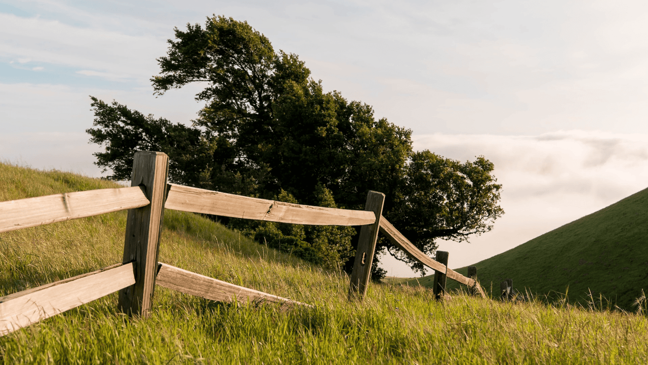 How to Buy a Farm in Wake, Franklin, Chatham, Granville and other counties in Central North Carolina