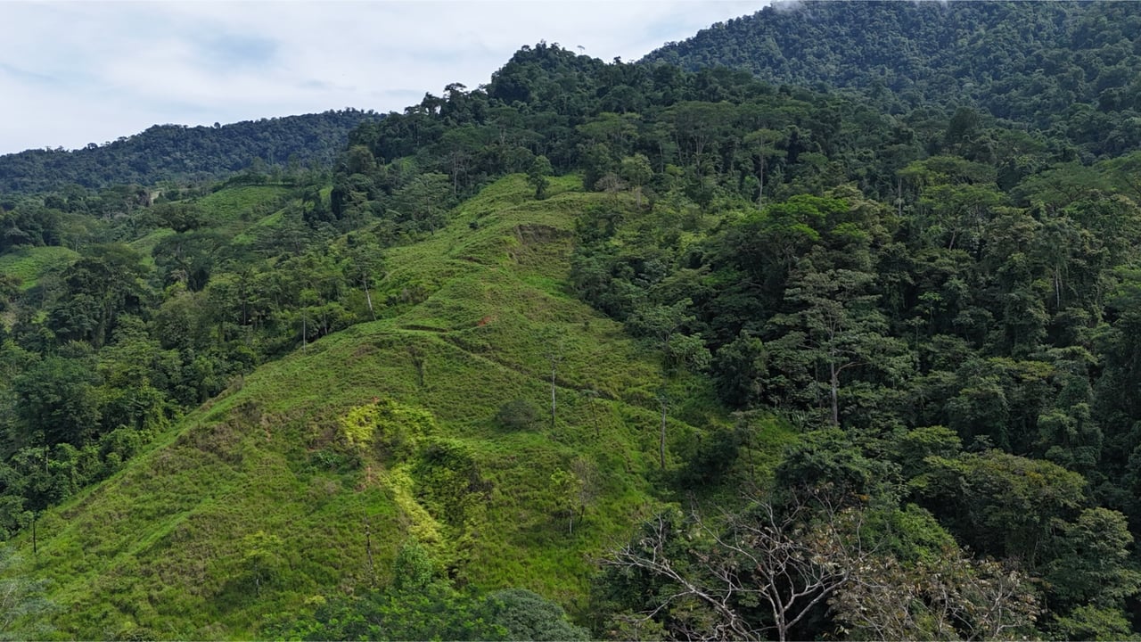Rainforest Waterfall Acreage Estate, Dominical, Puntarenas