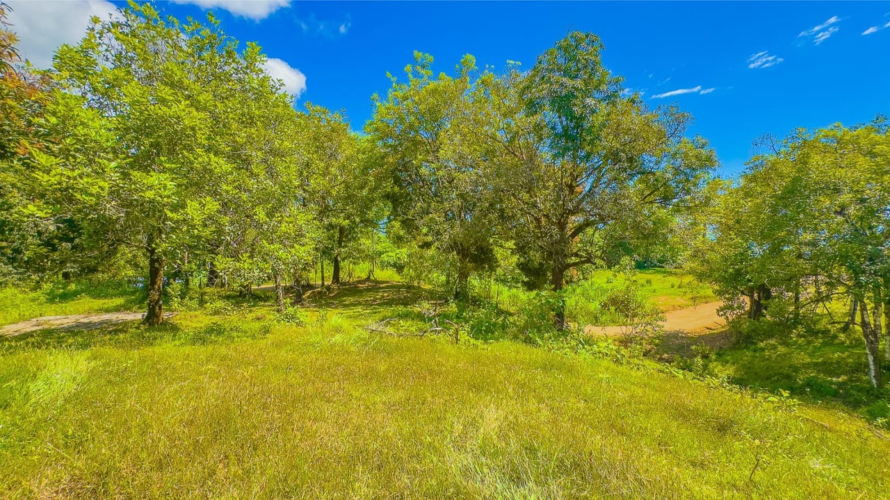 Forest View Building Lot, Ojochal, Puntarenas
