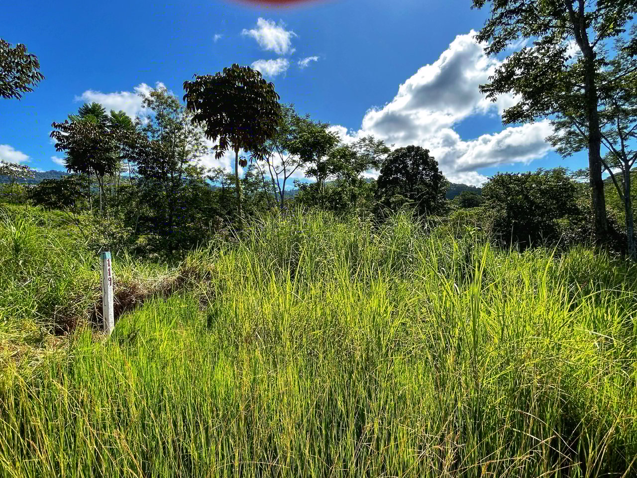 Exclusive Two-Lot Oasis: Your Dream Home Awaits in Gated Paradise!