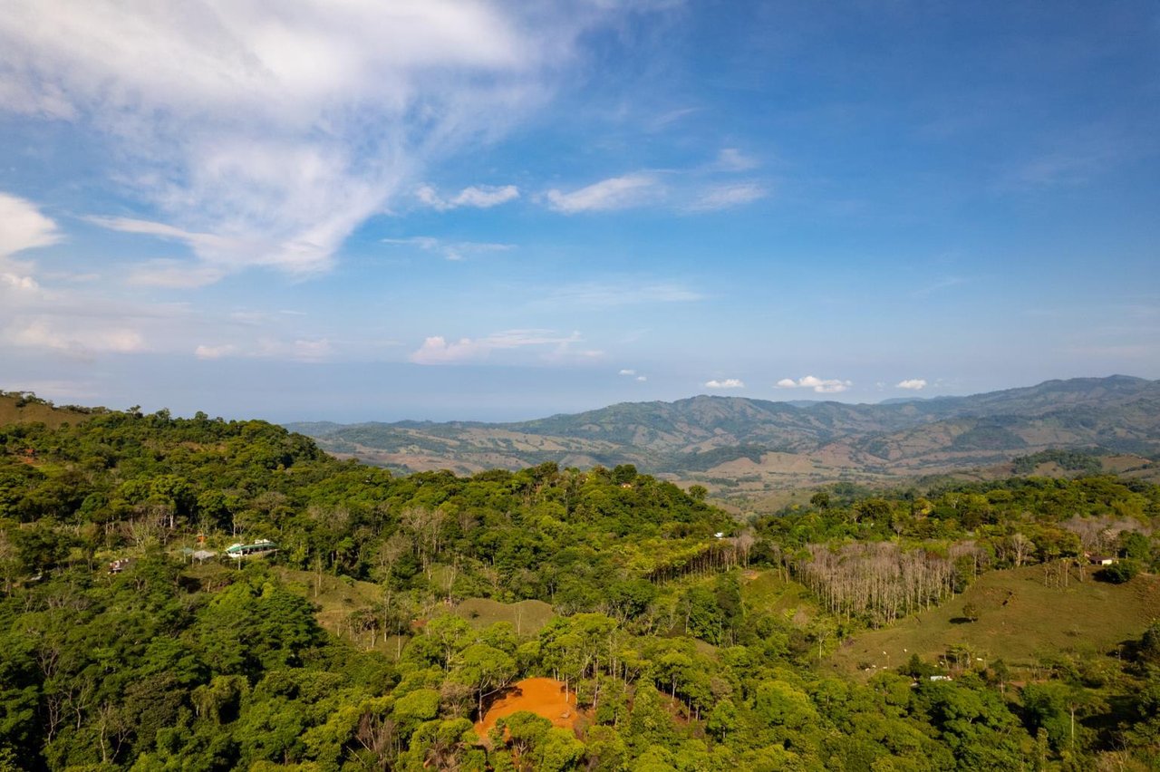 Pristine Jungle Ocean View Farm With Rivers