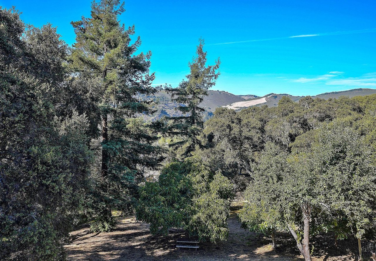 9845 Palisade Dr