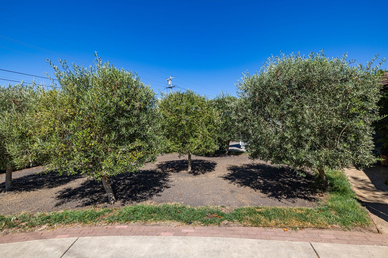 Charming Single-Level Home in the Heart of Rohnert Park