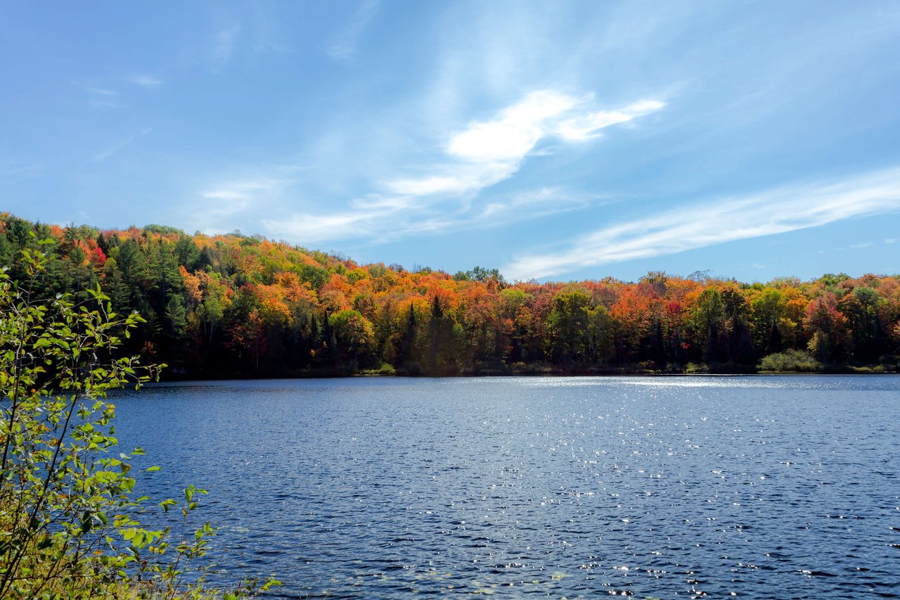 Lake Muskoka