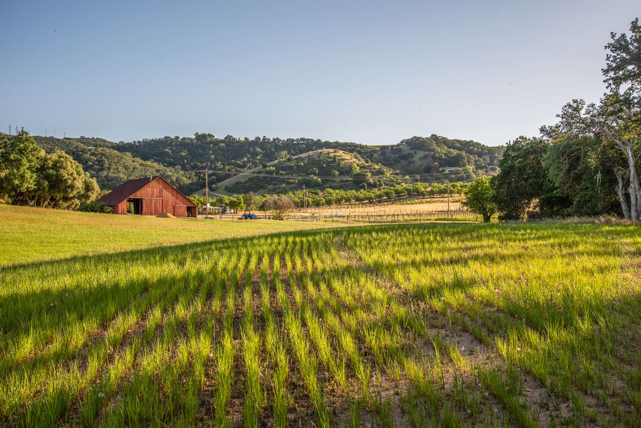 Paso Robles Paradise