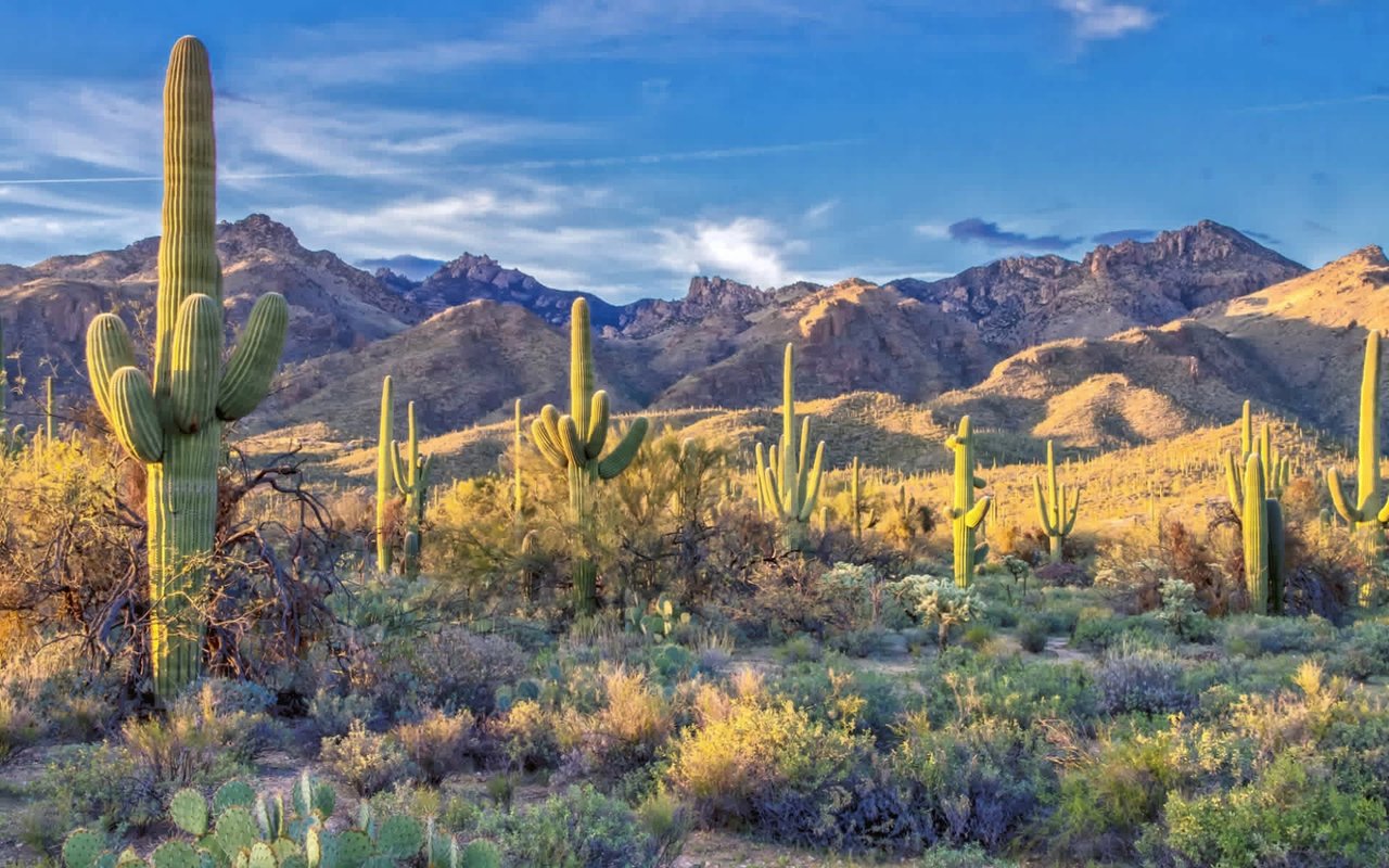 Honest Pros and Cons of Living in Paradise Valley, AZ
