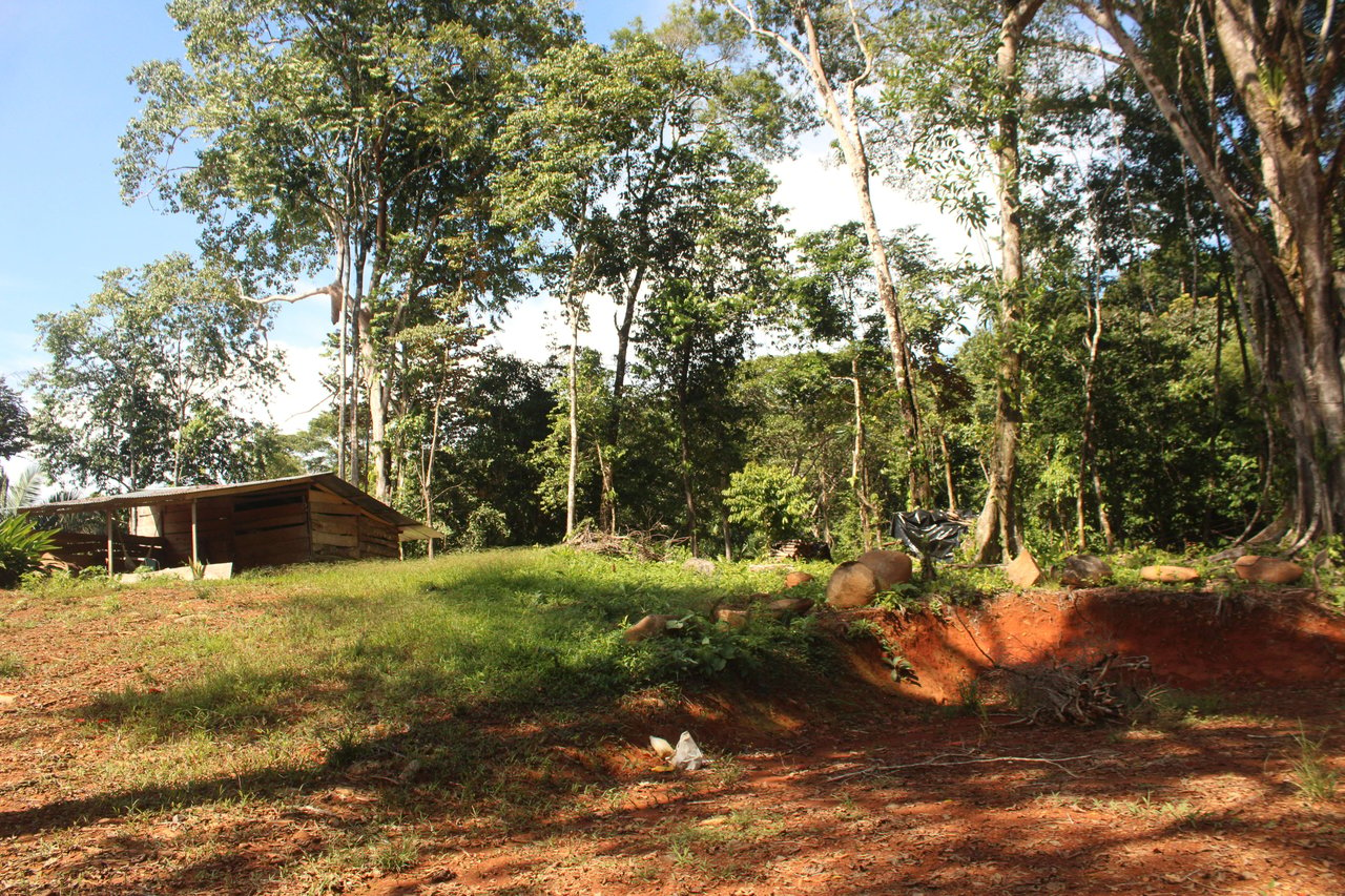 River Frontage Lot close to Uvita