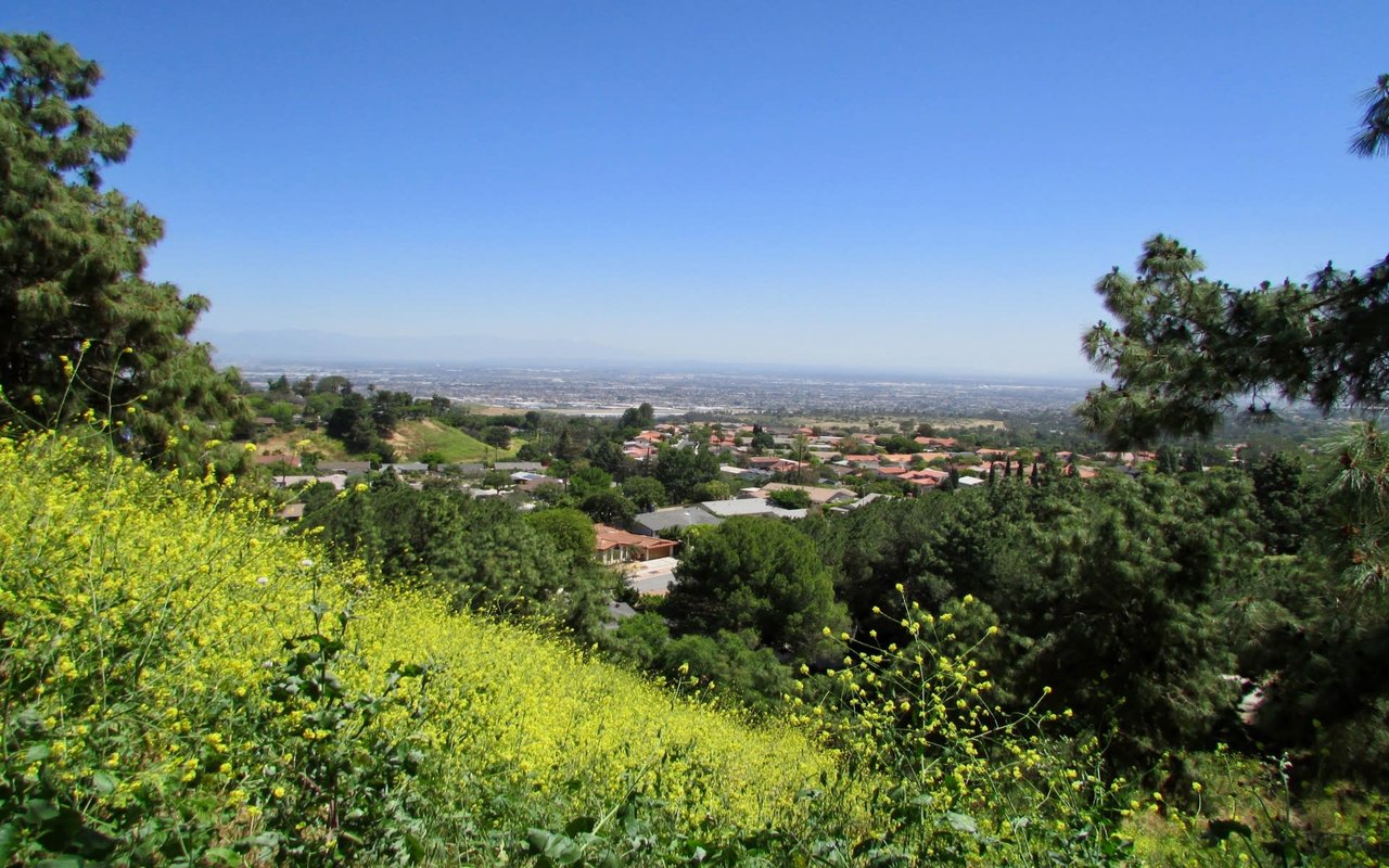 Rolling Hills Estates