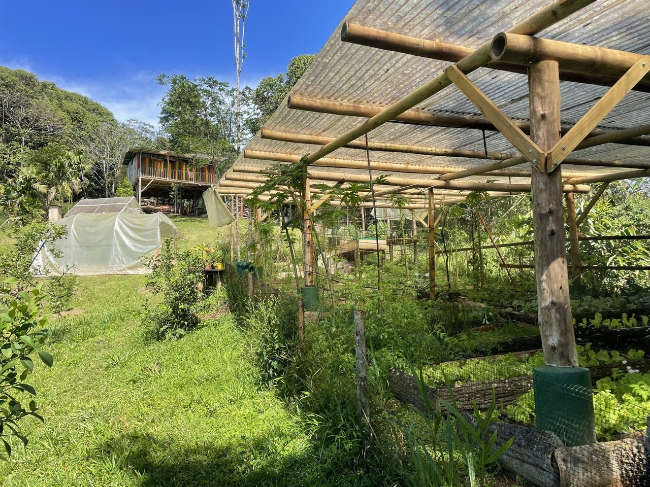 Riverfront Permaculture Farm, Perez Zeledon, San Jose