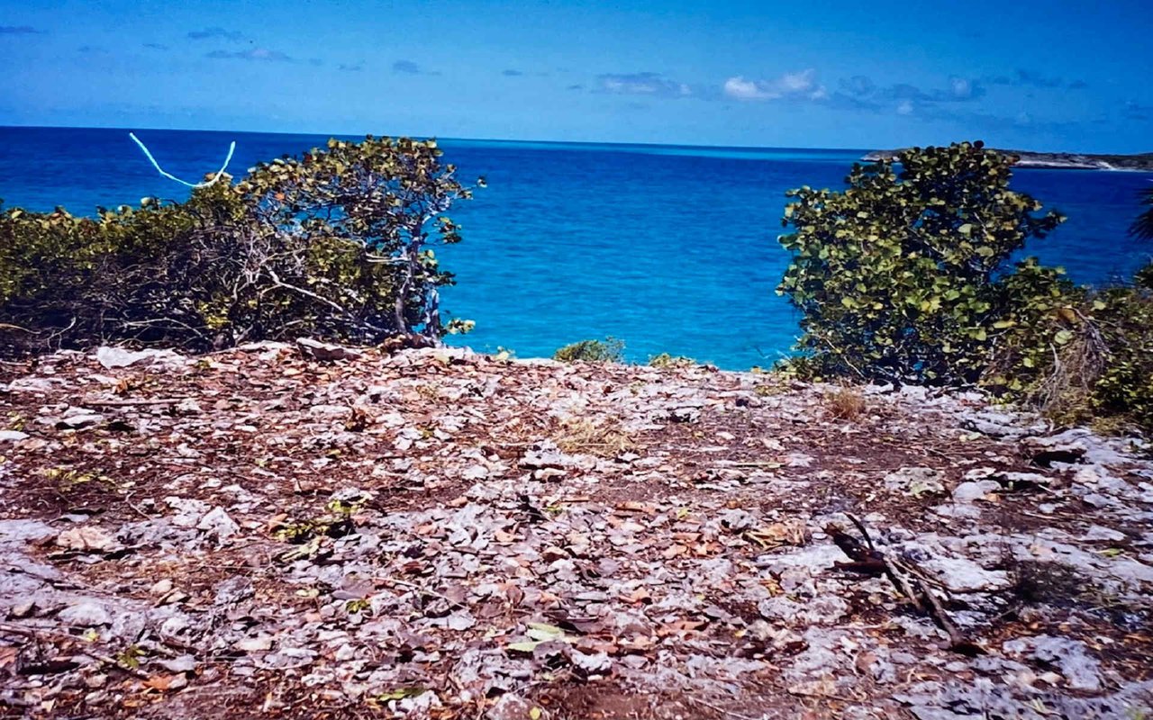 Ben's Cay Private Island